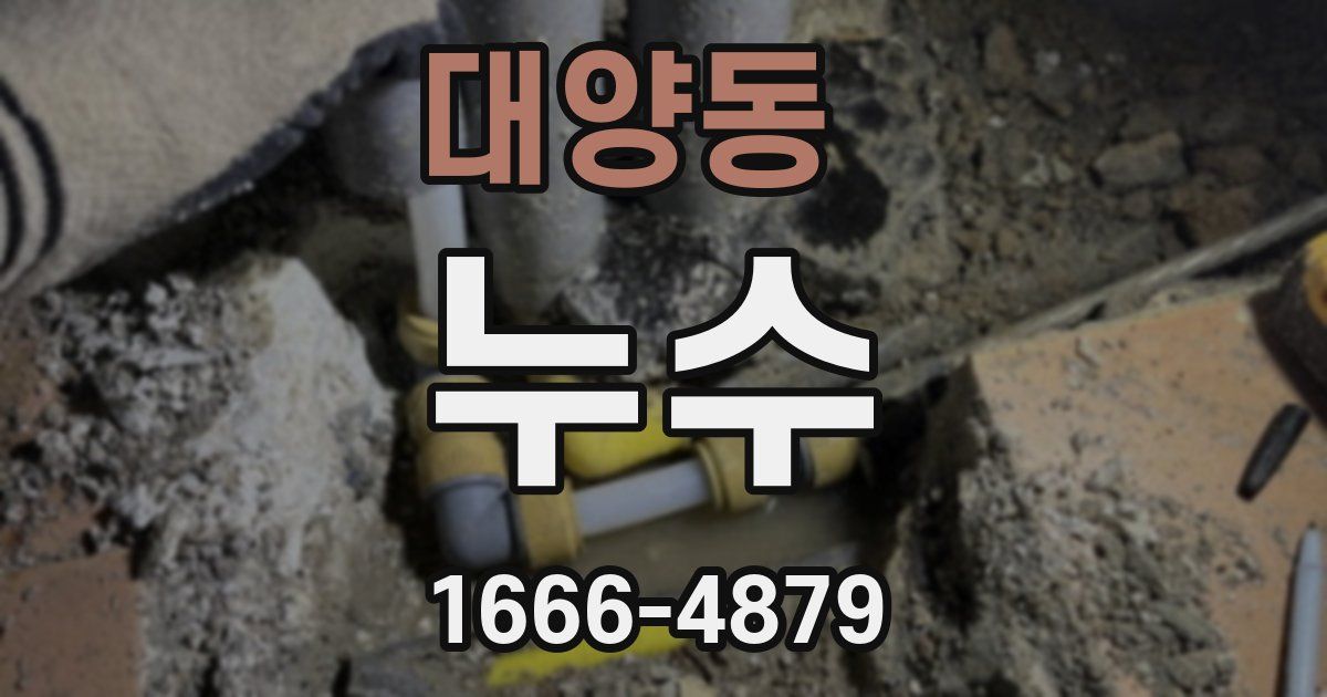 대양동 누수