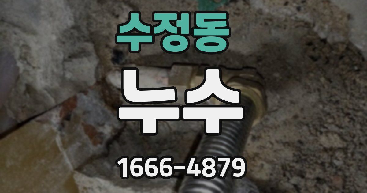 수정동 누수