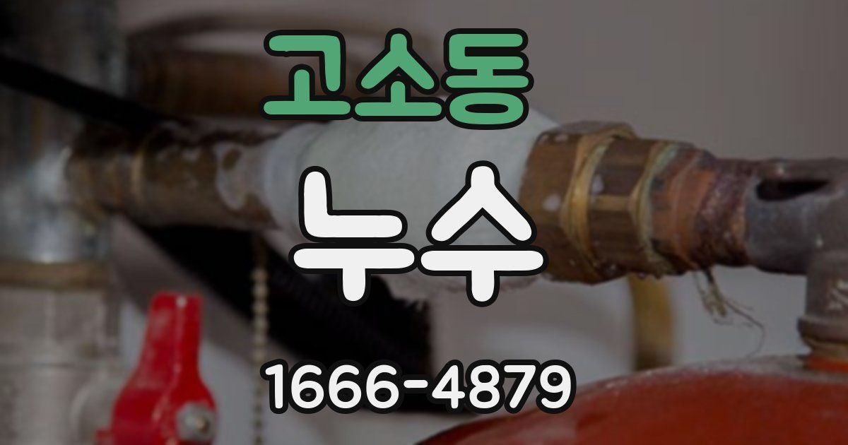 고소동 누수