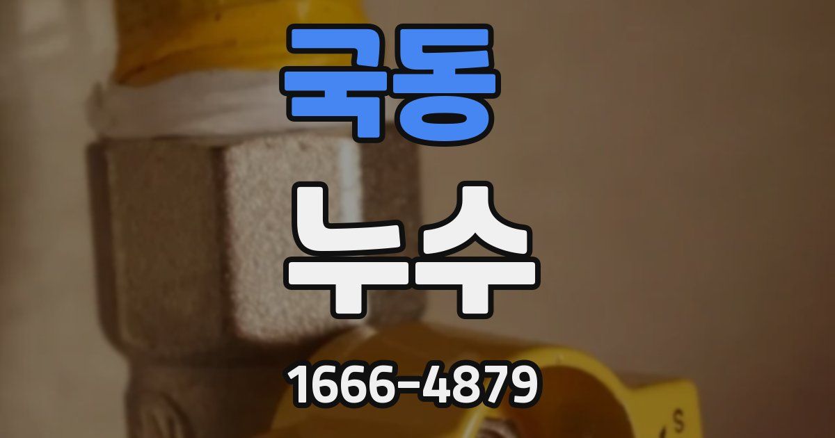 국동 누수