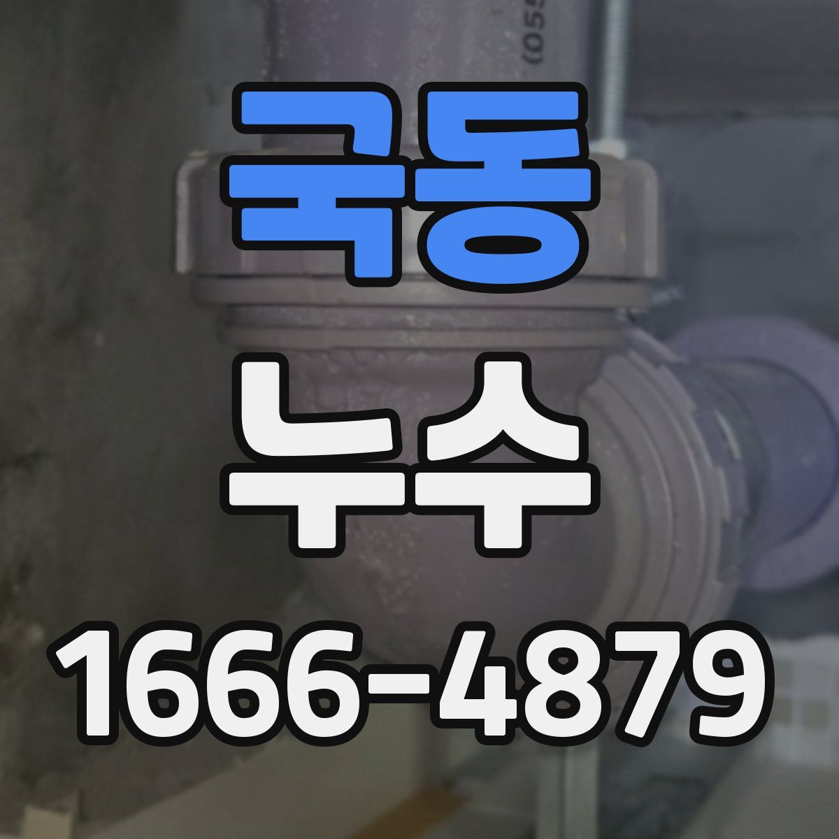국동 누수