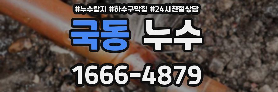 국동 누수