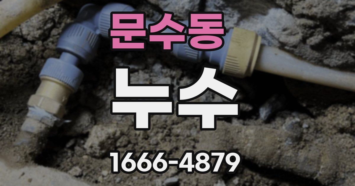 문수동 누수