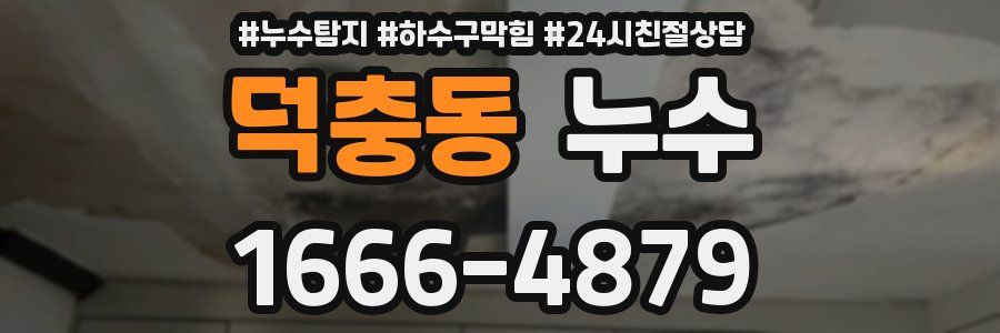 덕충동 누수
