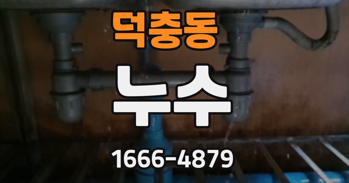 덕충동 누수