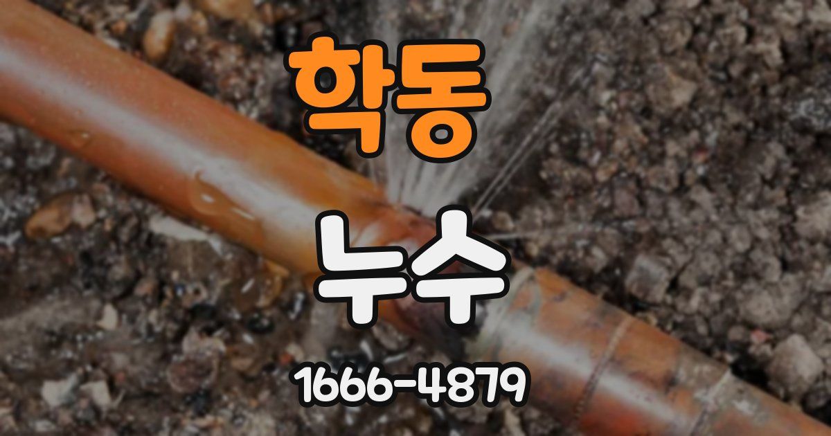 학동 누수