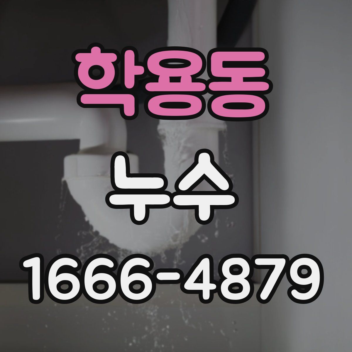 학용동 누수