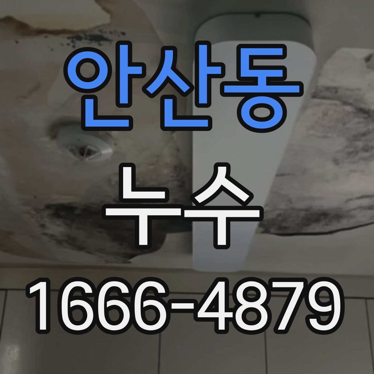 안산동 누수