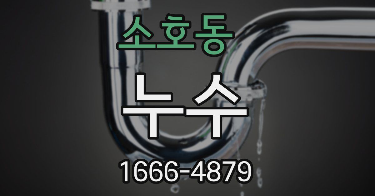소호동 누수