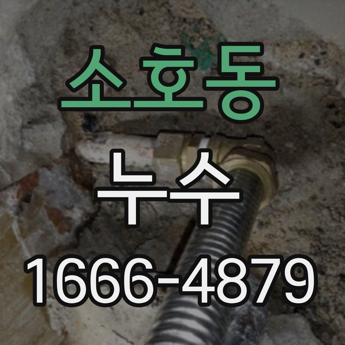 소호동 누수