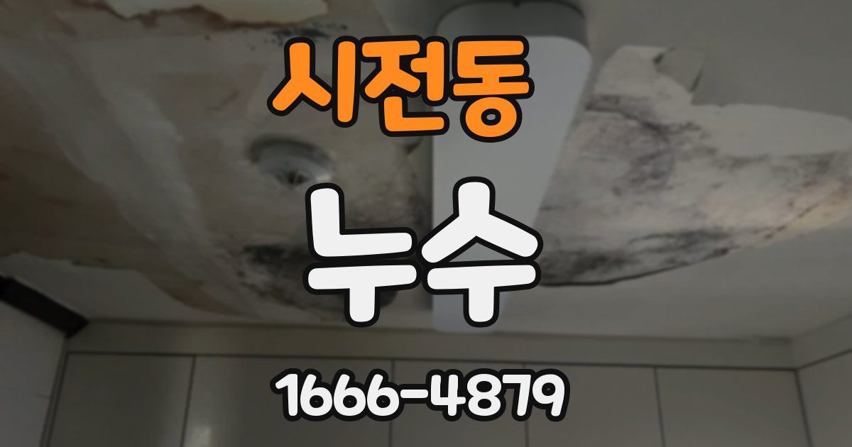 시전동 누수