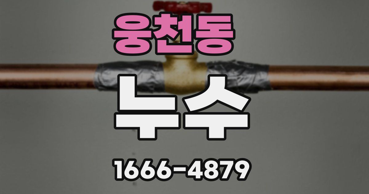 웅천동 누수