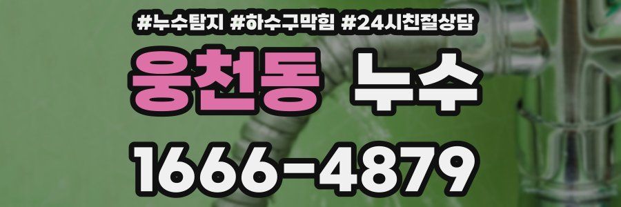 웅천동 누수