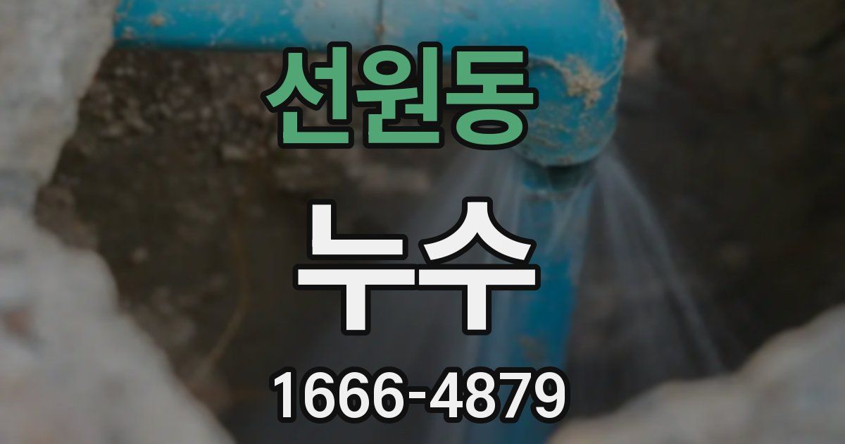 선원동 누수