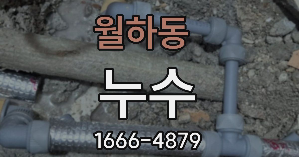 월하동 누수
