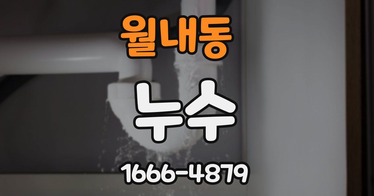 월내동 누수