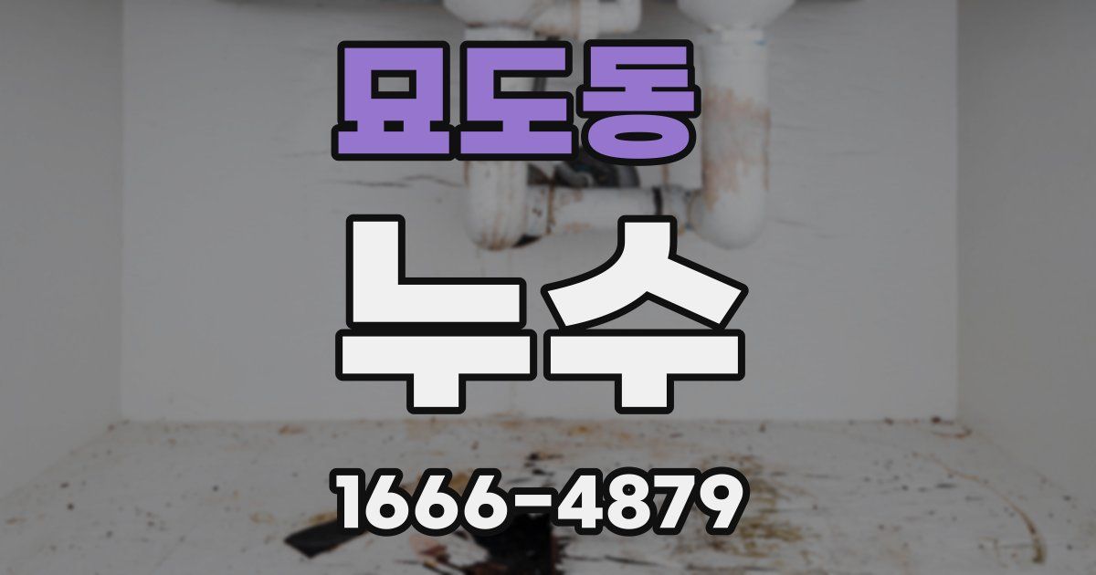 묘도동 누수