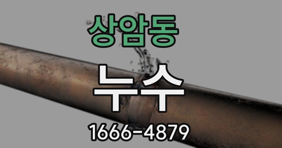 상암동 누수