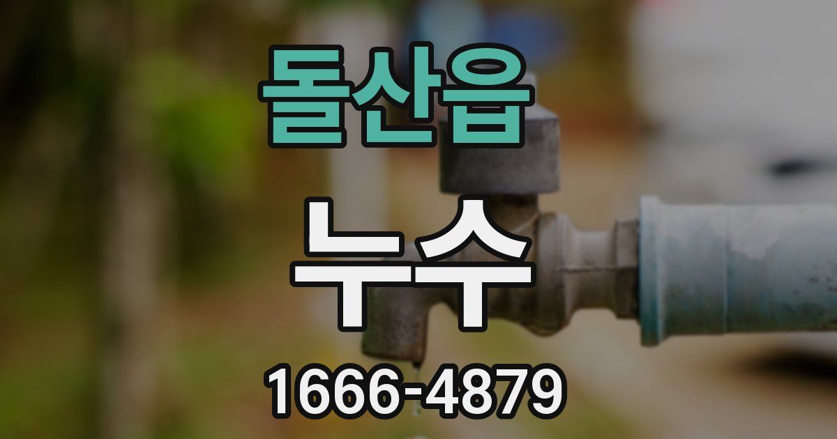 돌산읍 누수