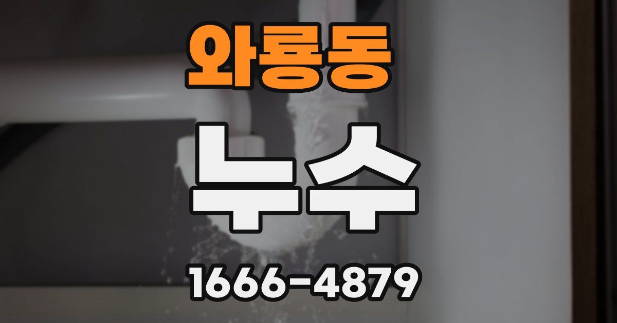 와룡동 누수