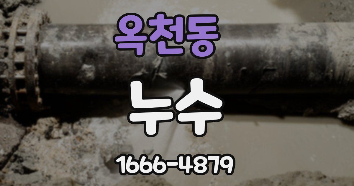 옥천동 누수