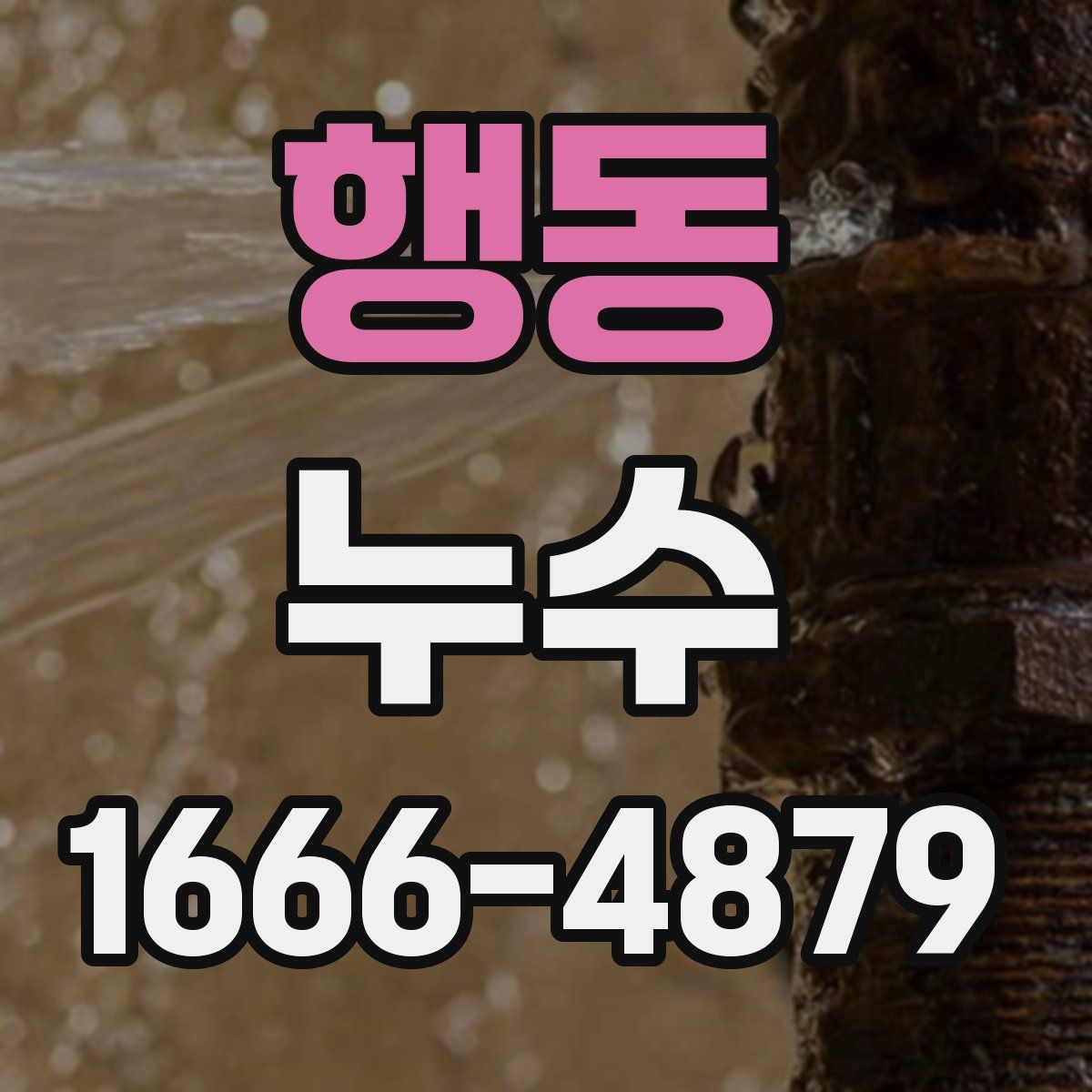 행동 누수