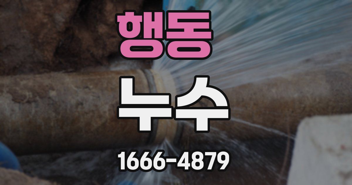 행동 누수