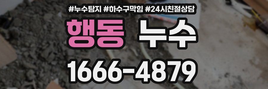 행동 누수