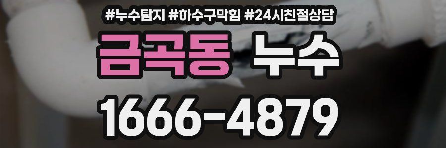 금곡동 누수