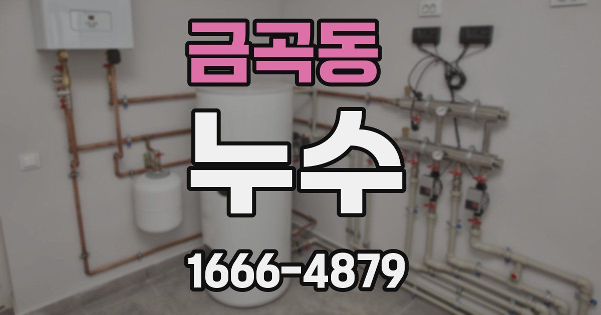 금곡동 누수
