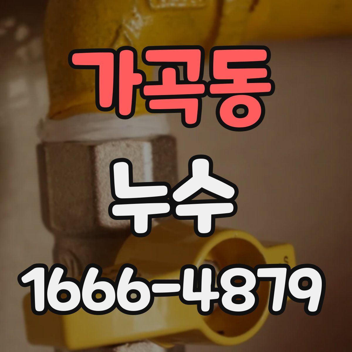 가곡동 누수