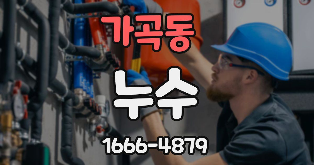 가곡동 누수