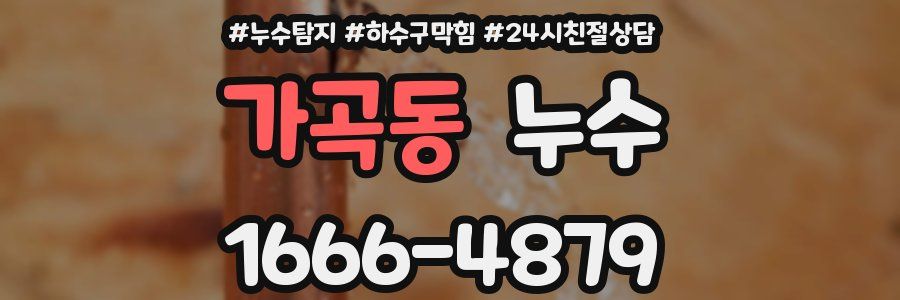 가곡동 누수