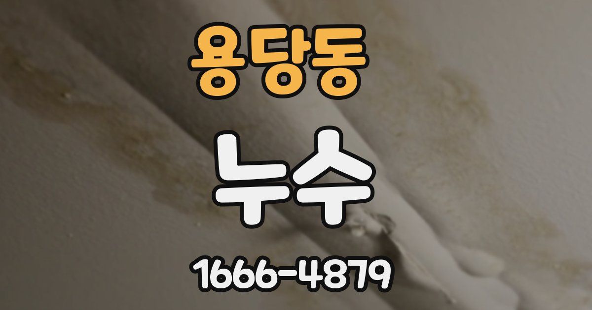 용당동 누수