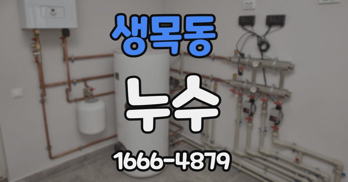 생목동 누수