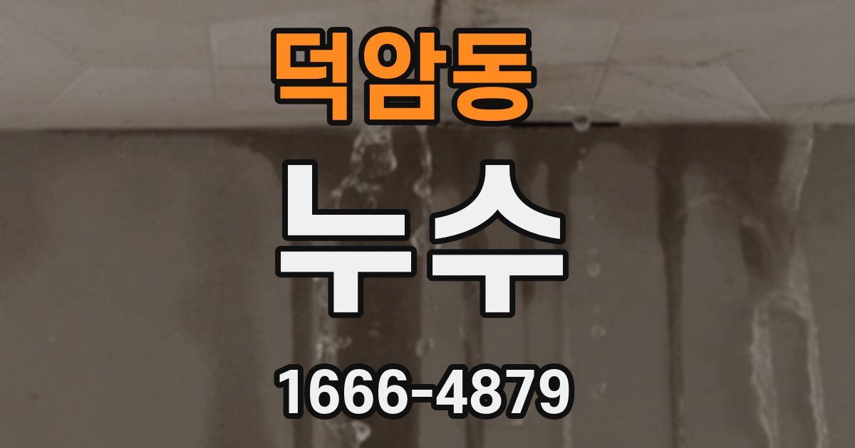 덕암동 누수
