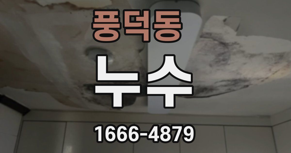 풍덕동 누수