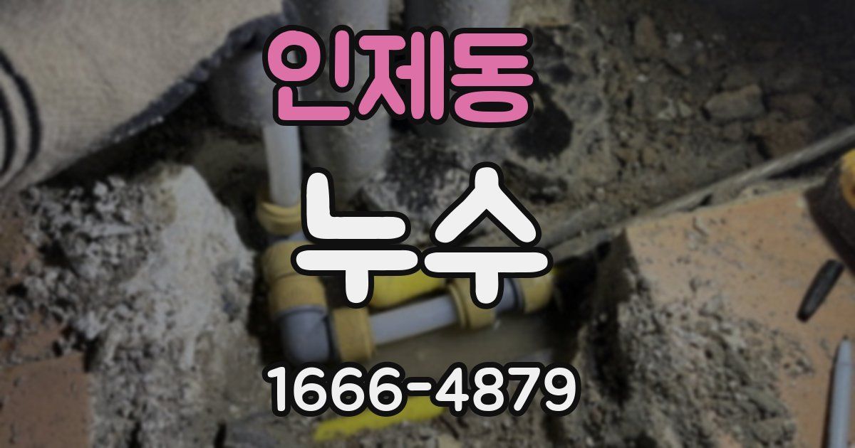 인제동 누수