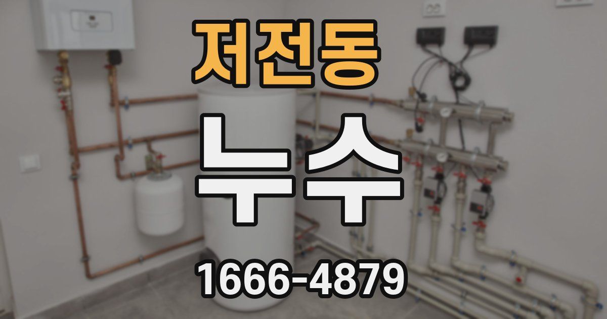 저전동 누수
