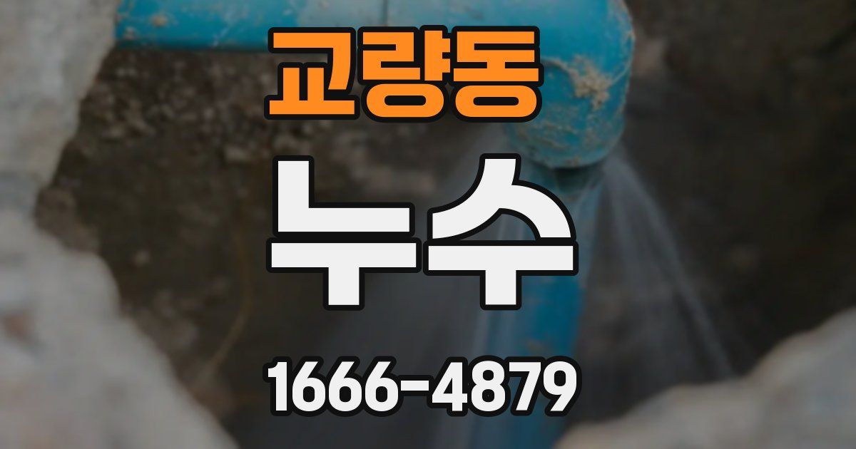 교량동 누수