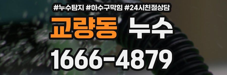 교량동 누수