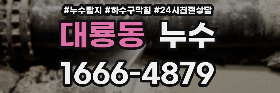 대룡동 누수