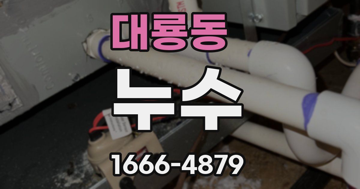 대룡동 누수