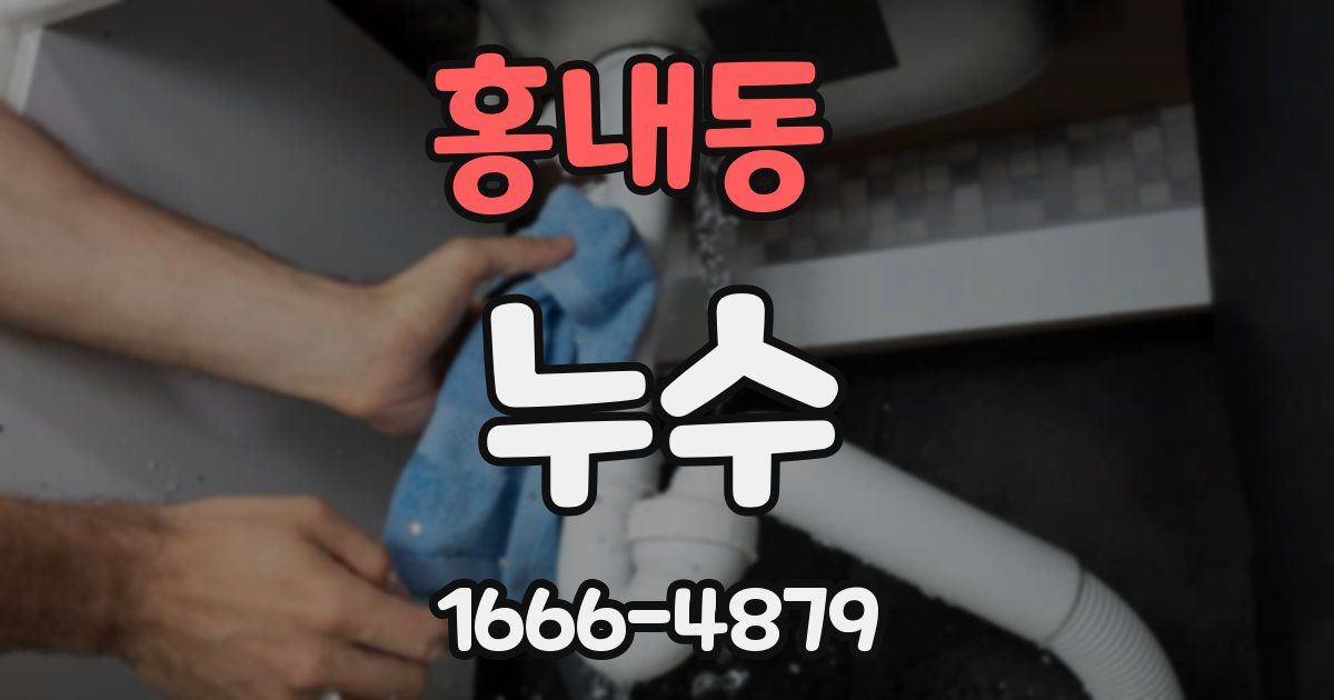 홍내동 누수