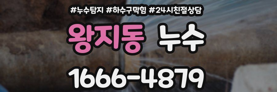왕지동 누수