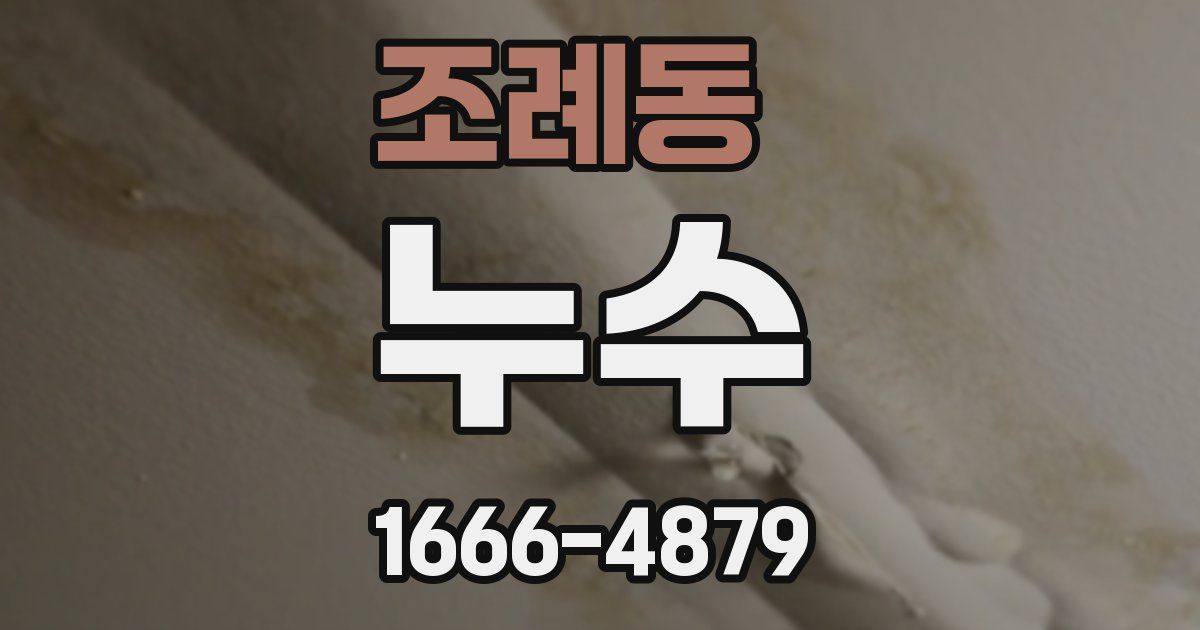 조례동 누수