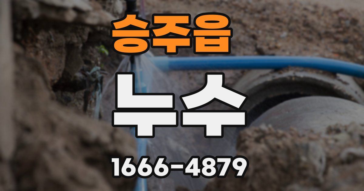 승주읍 누수