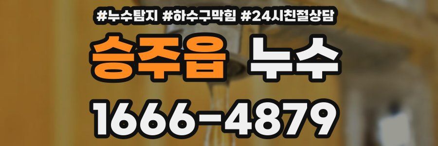 승주읍 누수