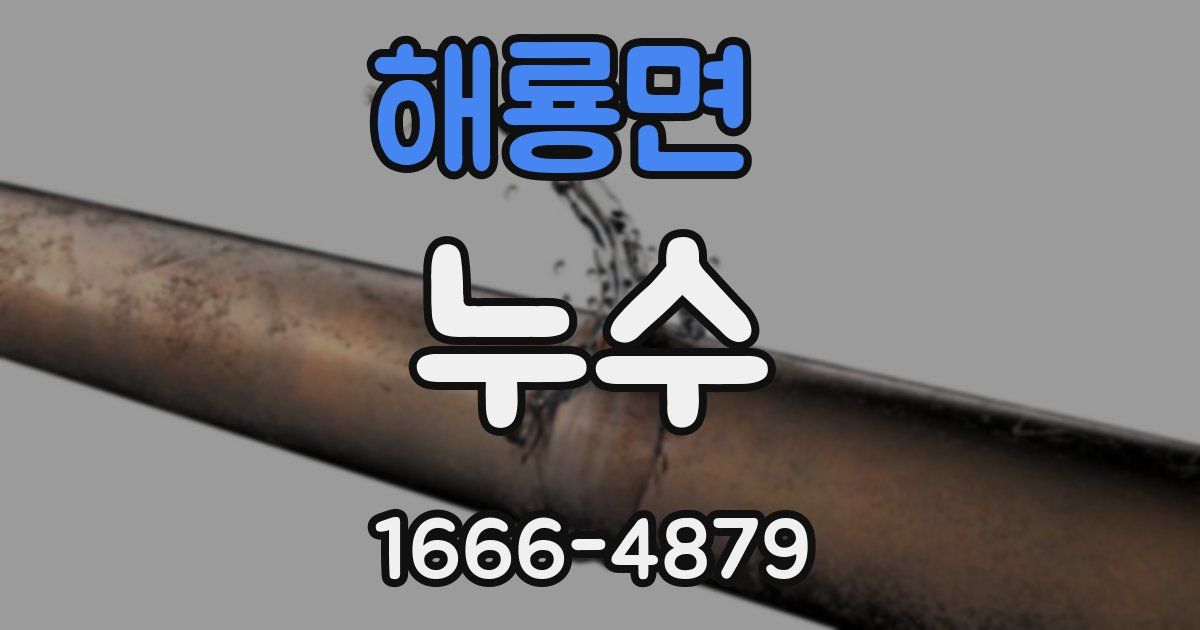 해룡면 누수