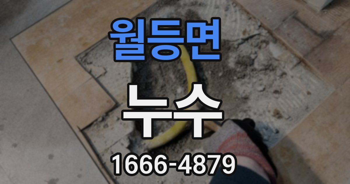 월등면 누수